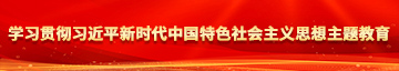 插逼玩奶视频学习贯彻习近平新时代中国特色社会主义思想主题教育